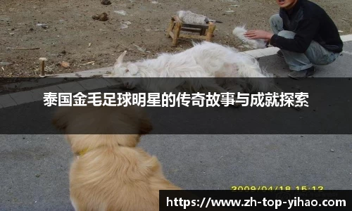 泰国金毛足球明星的传奇故事与成就探索